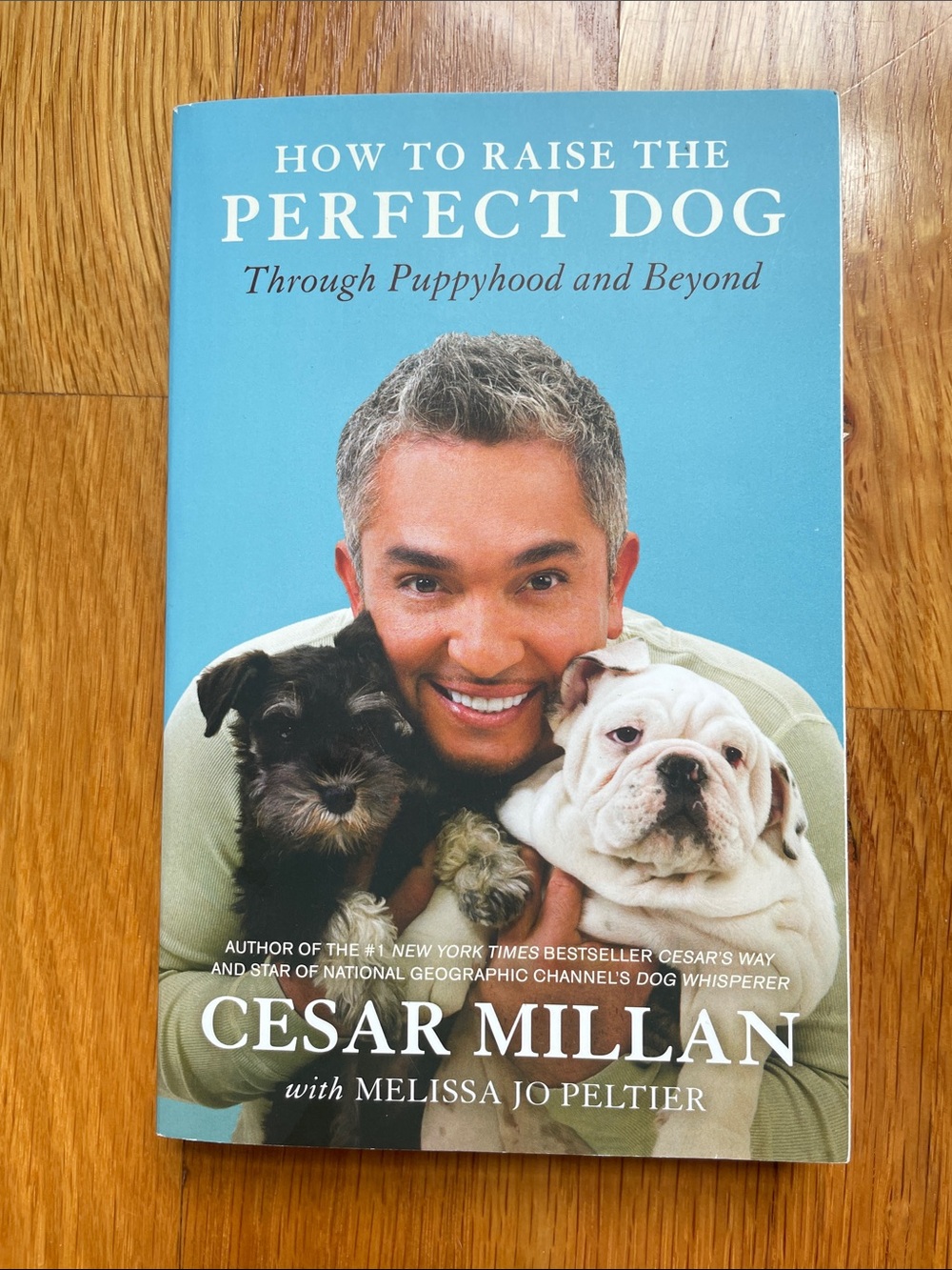Brand New Pet Book